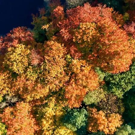 Parkresidenz Lychen, 9 Διαμέρισμα