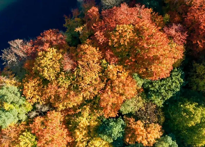 Parkresidenz Lychen, 9 Apartamento